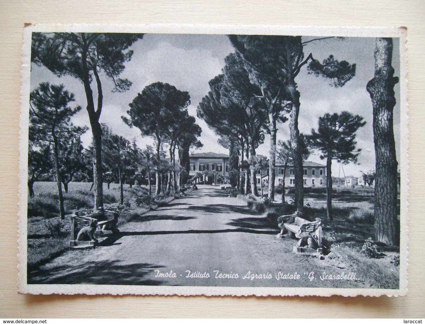 1957 - Imola - Istituto Tecnico Agrario G. Scarabelli -  Cartolina Storica Originale Firmata Dal Grande Angelo Banzola - Imola