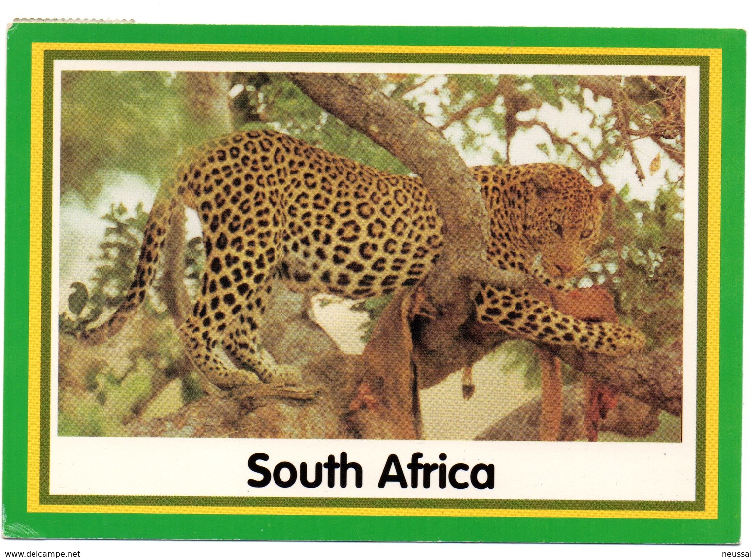 Tarjeta Postal De Sudafrica Circulada 2000 - Sudáfrica