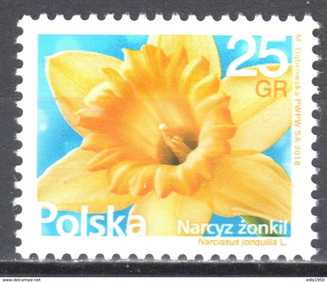 Poland  2018 - Flowers And Fruits - Narcissus Jonquilla - MNH (**) - Ungebraucht