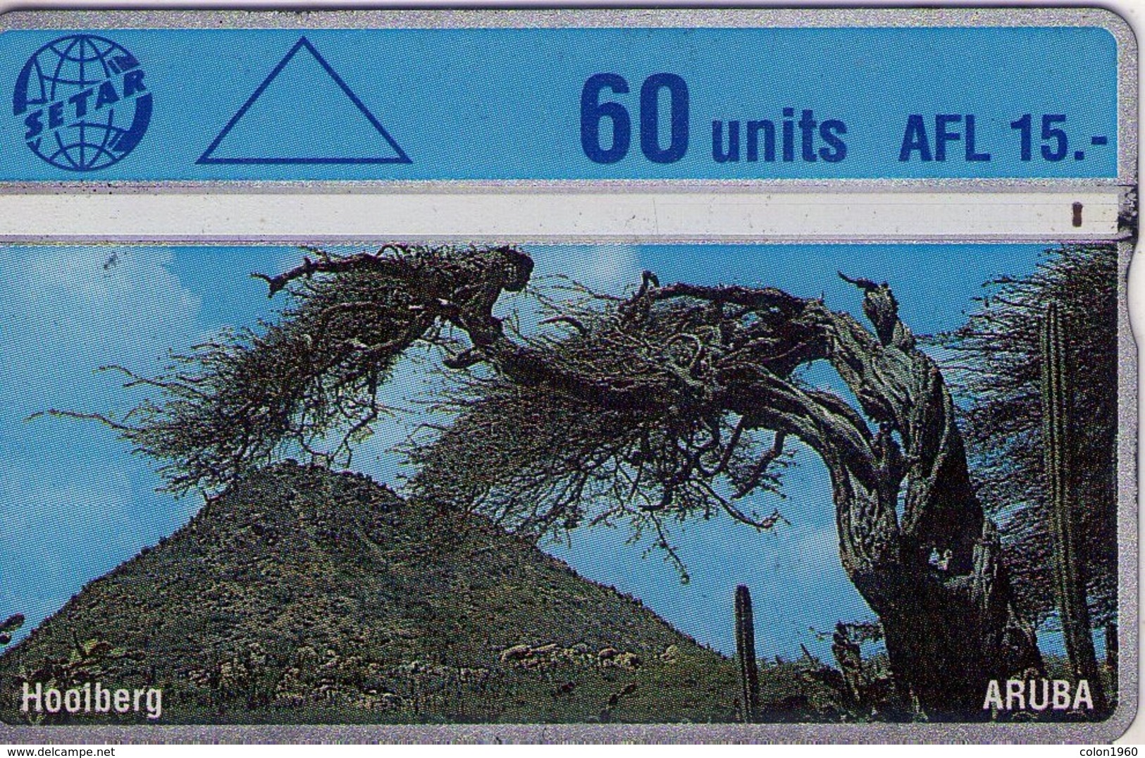 ARUBA. 503B, ARBOL, HOOLBERG (005) - Aruba