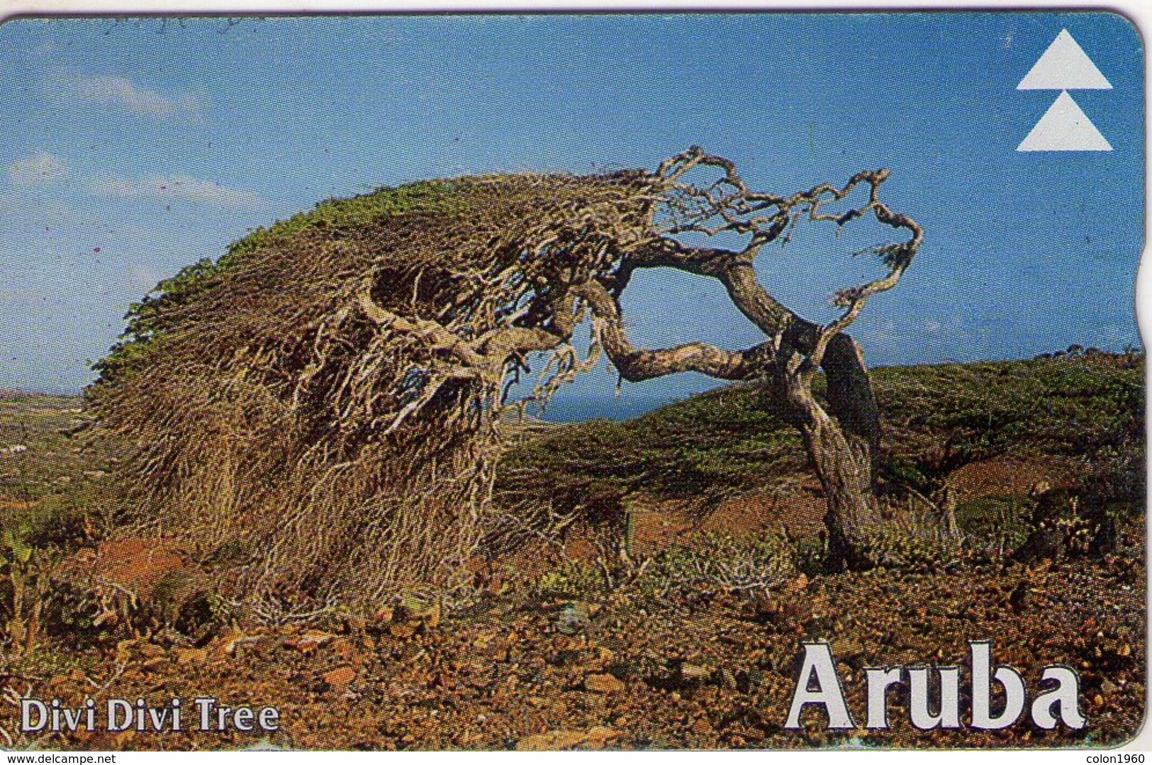 TARJETA TELEFONICA DE ARUBA. 602C, ARBOL, DIVI DIVI TREE Ll (007) - Aruba