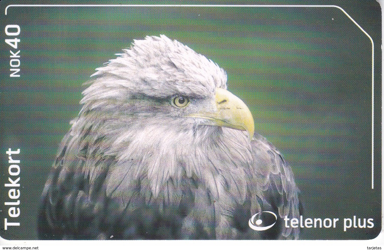 TARJETA DE NORUEGA DE UN AGUILA (EAGLE) - Eagles & Birds Of Prey