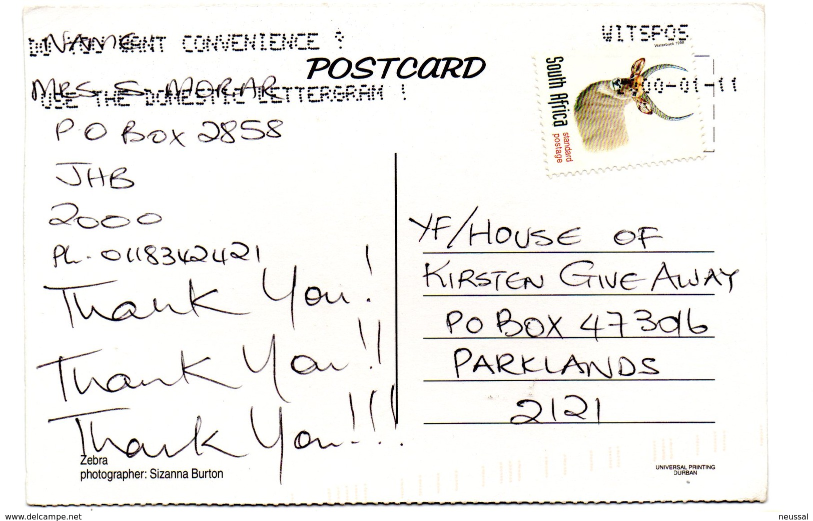 Tarjeta Postal De Sudafrica Circulada 2000 Zebra - Sudáfrica