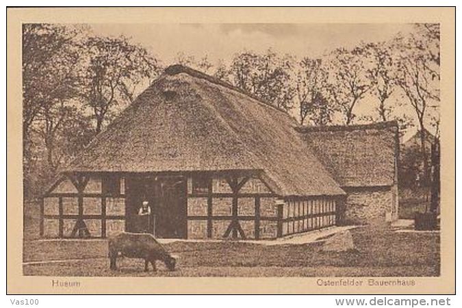 CPA HUSUM- TRADITIONAL HOUSEHOLD, WOODFRAME HOUSE, COW - Husum