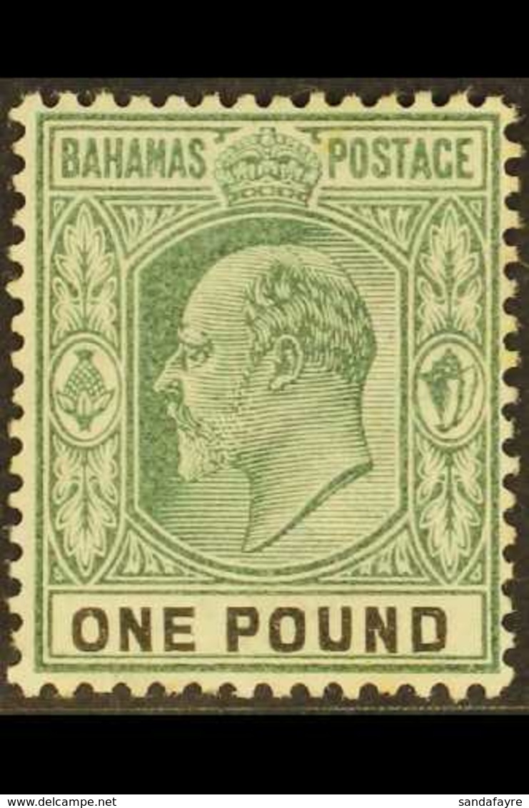1902-10 £1 Green And Black, Wmk Crown CA, SG 70, Mint Lightly Hinged. Fresh! For More Images, Please Visit Http://www.sa - Altri & Non Classificati
