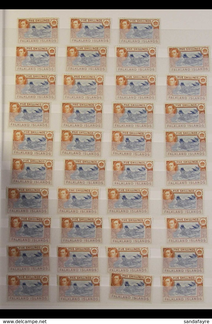 1938-50 MINT / NHM - 5s SHADES ACCUMULATION CAT £8500+ A Large, Fine Mint & Never Hinged Mint Hoard Of Seventy Plus Exam - Falkland