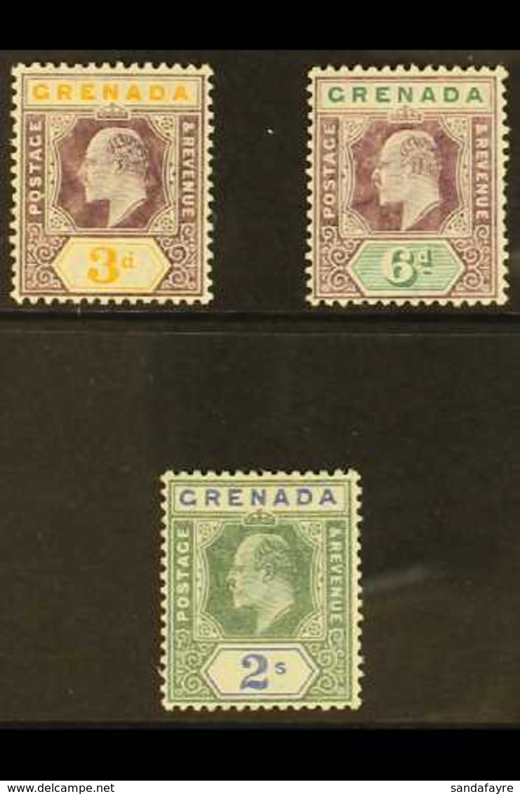 1904 - 06 3d, 6d And 2s Values Wmk MCA On Chalk Surface Aper, SG 71a, 72a, 74a, Very Fine Mint. (3 Stamps) For More Imag - Grenada (...-1974)