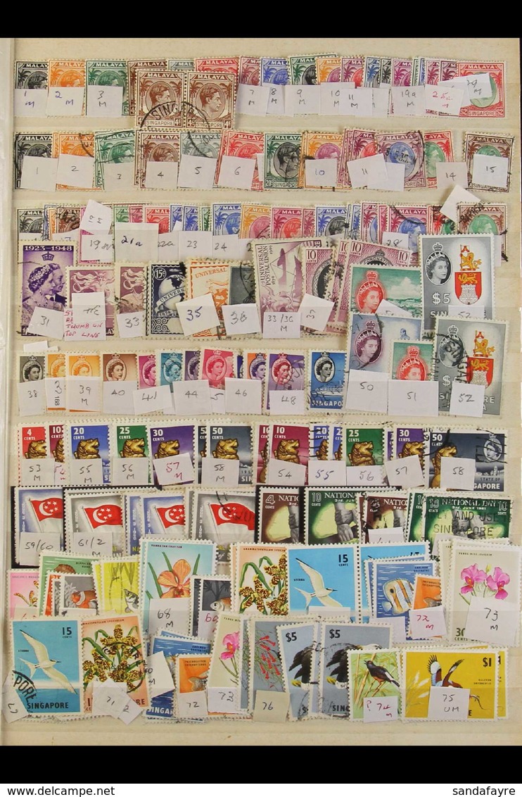 1948-1999 EXTENSIVE ASSEMBLY A Collection Of Mint And Used Ranges on Old Stock Pages Which Includes 1948-52 Defins Mint  - Singapore (...-1959)