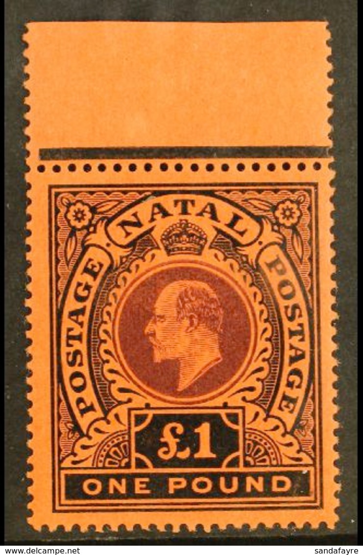 NATAL 1908-09 £1 Purple & Black On Red, SG 171, Fine Mint Top Marginal Example, Two Tiny Black Ink Spots On Reverse Prob - Non Classificati