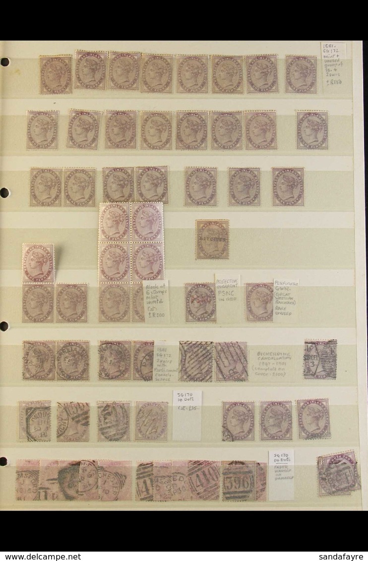 1881 1D LILAC - INTERESTING OLD TIME  ACCUMULATION On Stock Pages With Various Mint And Used Shades (few 14 Dots), A Ran - Other & Unclassified