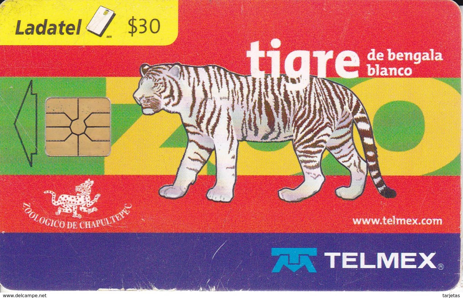 TARJETA DE MEXICO DE UN TIGRE BLANCO (TIGER) - Otros & Sin Clasificación