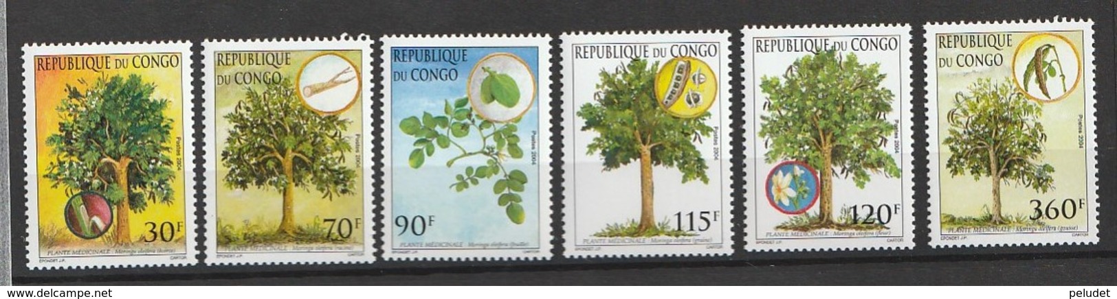 Rep. Du Congo 2005, Trees 6v Mnh - Nuevas/fijasellos