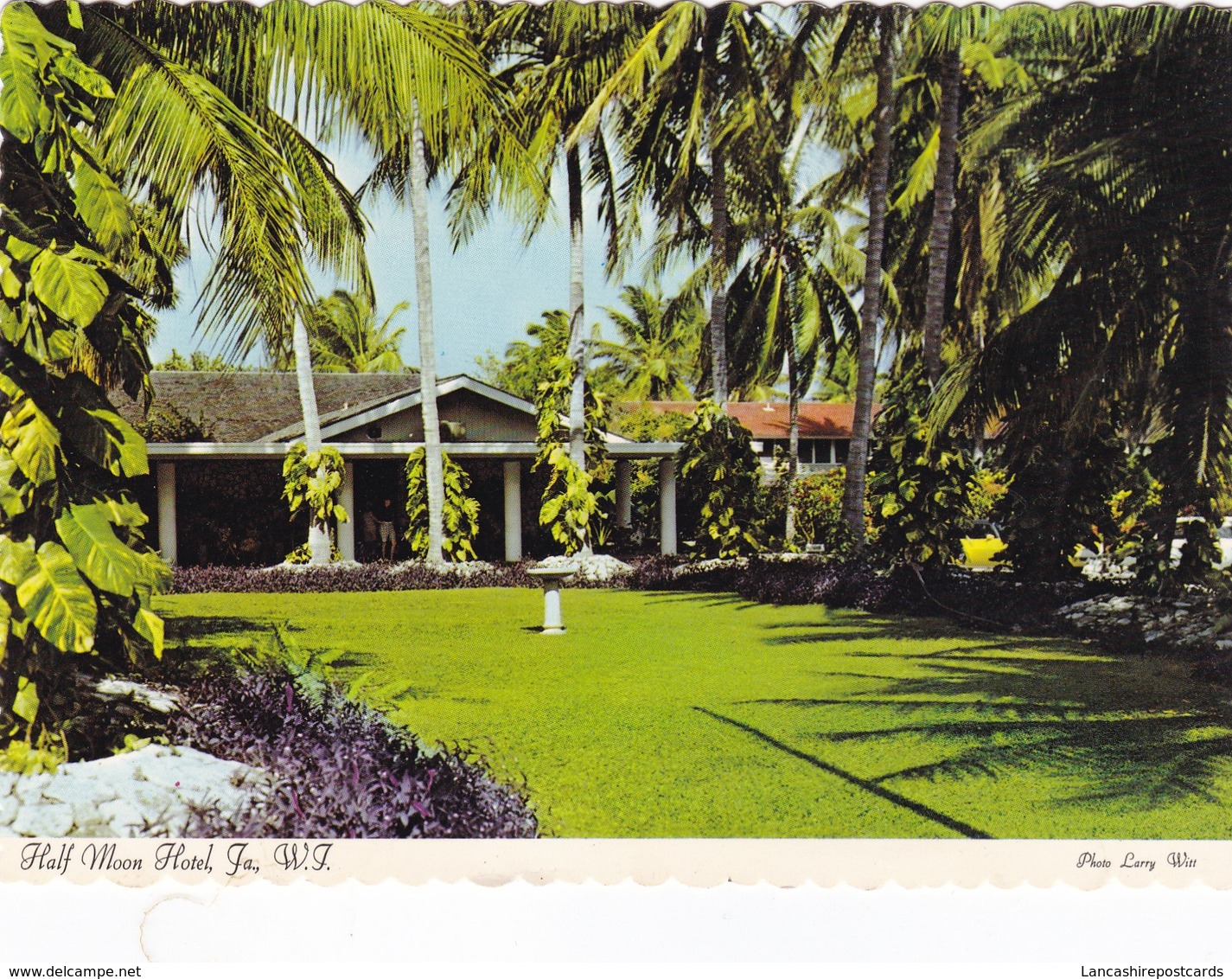 Postcard Half Moon Hotel Montego Bay Jamaica  My Ref  B22660 - Jamaica