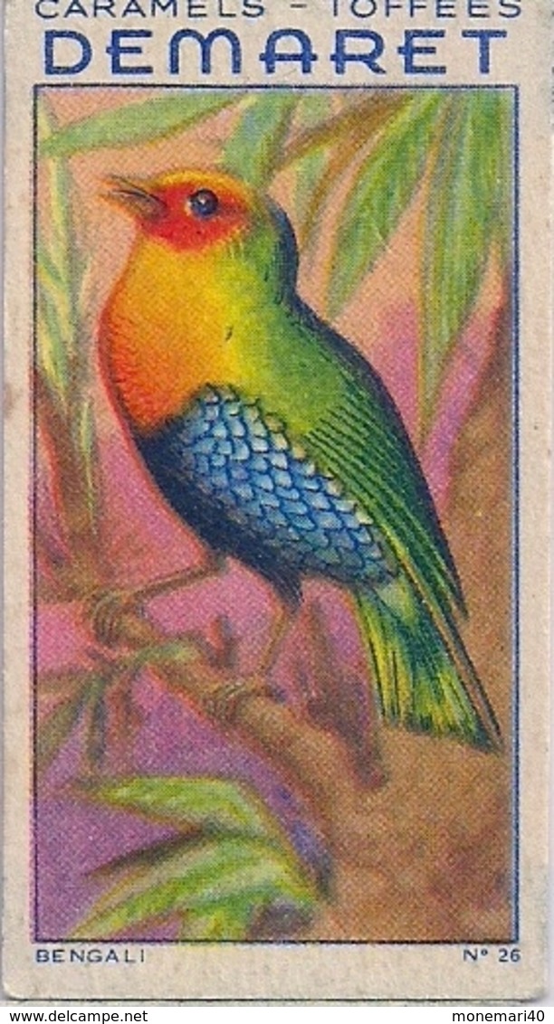 PASSEREAUX  (Caramels et toffées DEMARET) - 54 oiseaux.