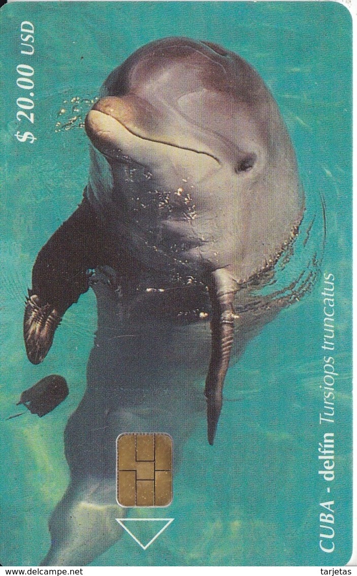 103 TARJETA DE CUBA DE UN DELFIN  (DOLPHIN) - Delfines