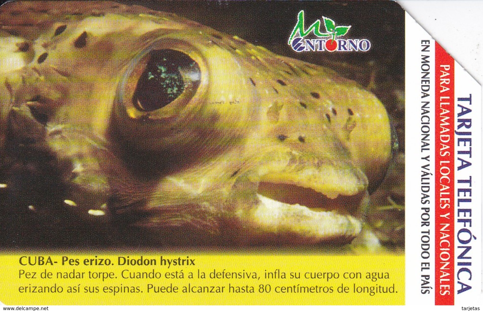 UR-033 TARJETA DE CUBA URMET DE UN PEZ ERIZO(FISH) $5 - Peces