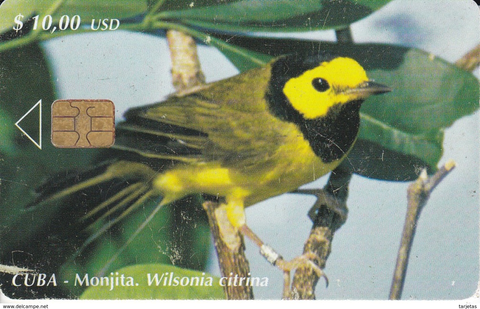 173 TARJETA DE CUBA DE EL PAJARO LA MONJITA (BIRD) (rozada) - Cuba