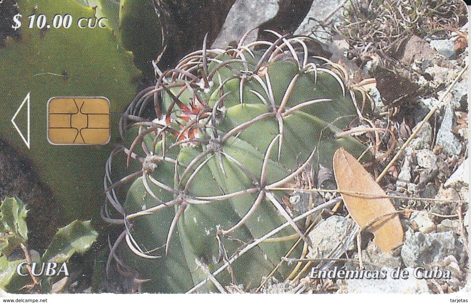 TARJETA DE CUBA DE UN CACTUS (ENDEMICAS DE CUBA) - Cuba