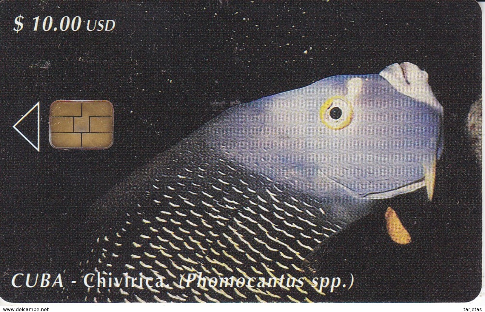 094 TARJETA DE CUBA DE UN PEZ CHIRIVICA  (FISH) - Peces