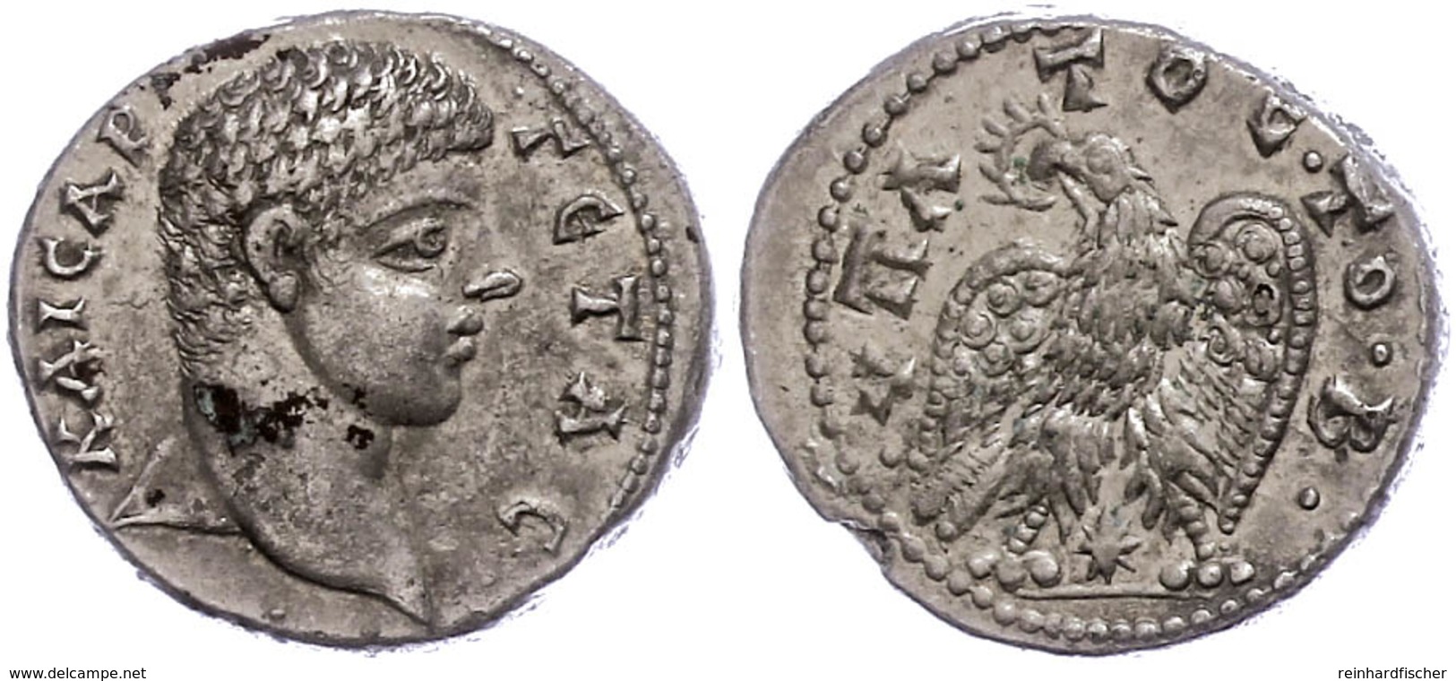 103 Syrien, Laodicea Ad Mare, Tetradrachme (13,34g), Geta, 208-209. Av: Kopf Nach Rechts, Darum Umschrift. Rev: Adler Mi - Province