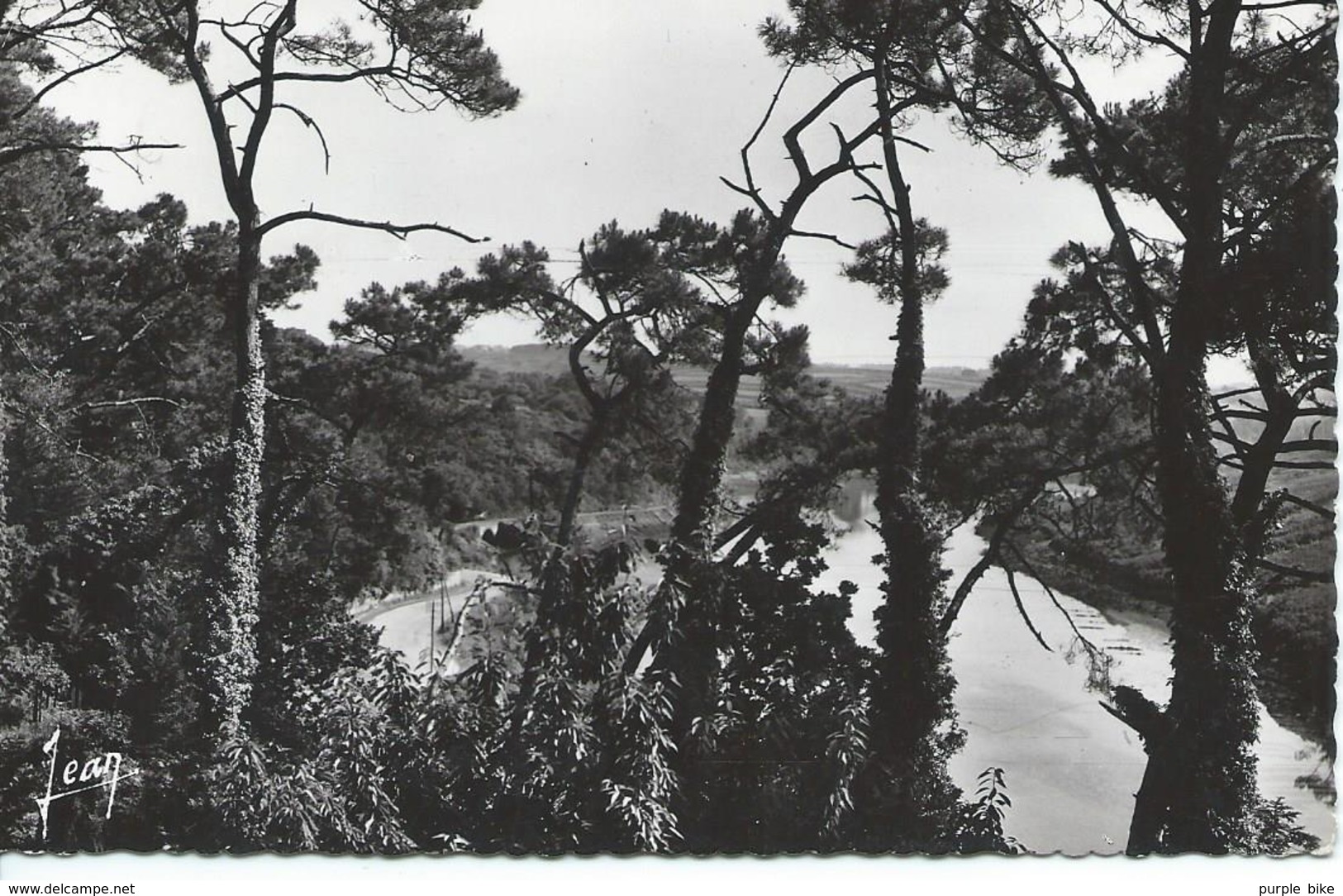 DPT 29 Cpsm Audierne Colonie De Vacances Ville Du Mans Le Goyen Pris Du Château    TBE - Ile-de-Batz