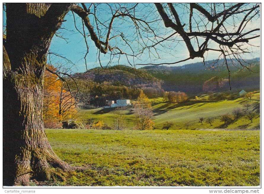 Switzerland,  Suisse, Schweiz, Svizerra - Ruhige Hohenlage, Laufelfingen, Unused - Läufelfingen