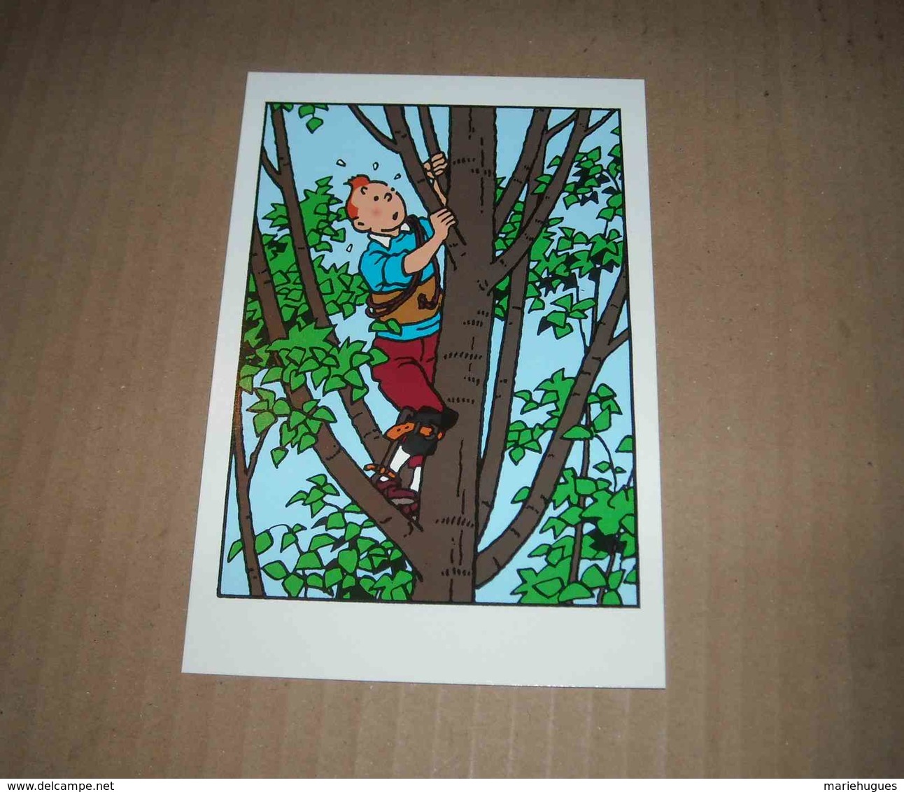 CARTE POSTALE TINTIN   HERGE - Bandes Dessinées