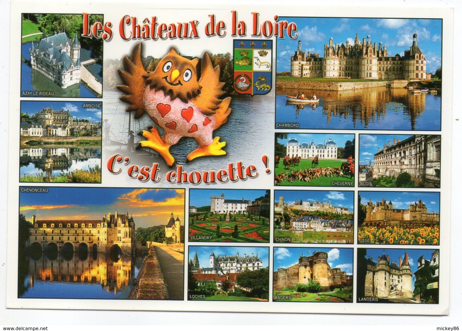 Les Chateaux De La Loire-C'est Chouette !-Multivues(Azay,Chambord,Amboise,Cheverny,Blois,Chenonceaux,Loches,Villandry... - Oiseaux