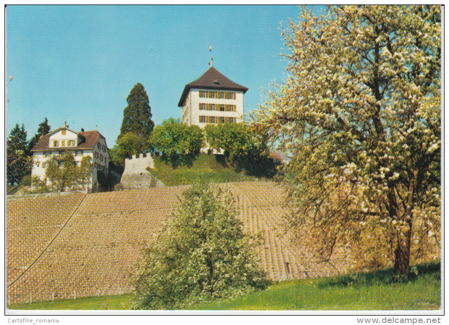 Switzerland, Suisse, Schweiz, Svizzera - Schloss Heidegg Gelfingen Unused - Gelfingen