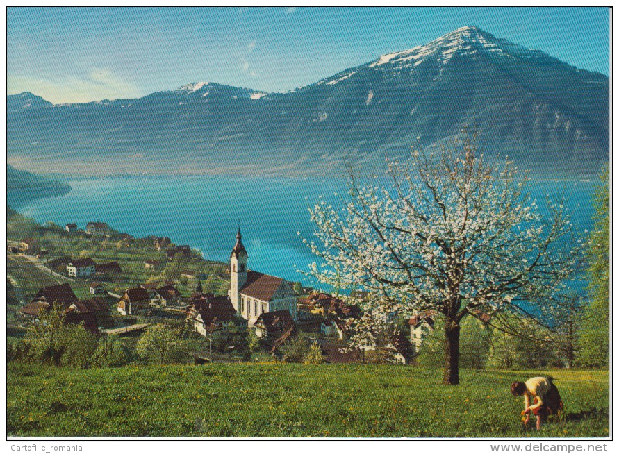 Switzerland, Suisse, Schweiz, Svizzera - Zugersee Mit Rigi Unused - Zoug