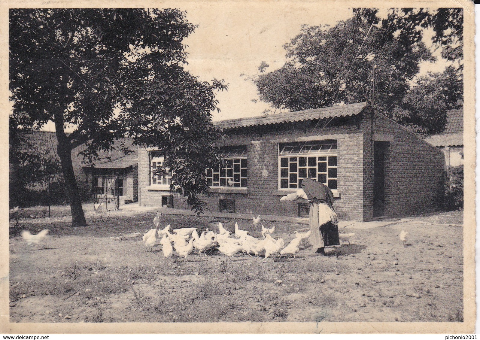 MONT THABOR - Abbaye Ter Blanck Lez Louvain  -  Lot De 9 Cartes Postales - Autres & Non Classés