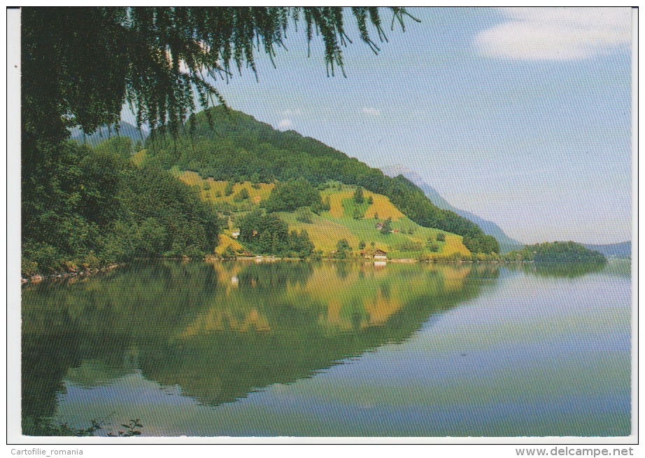 Switzerland, Suisse, Schweiz, Svizzera  - Lac De Lauerz Unused - Lauerz