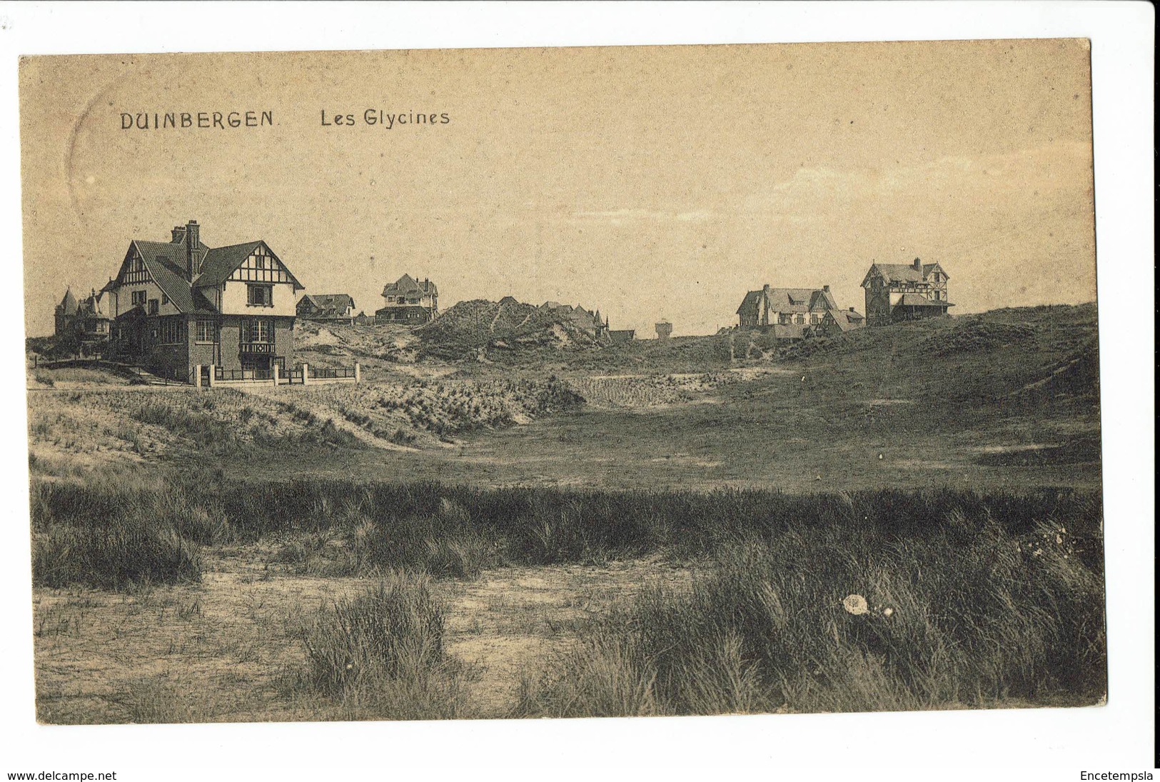 CPA - Carte Postale -BELGIQUE -  Duinbergen - Les Glycines -1911 -S570 - Knokke