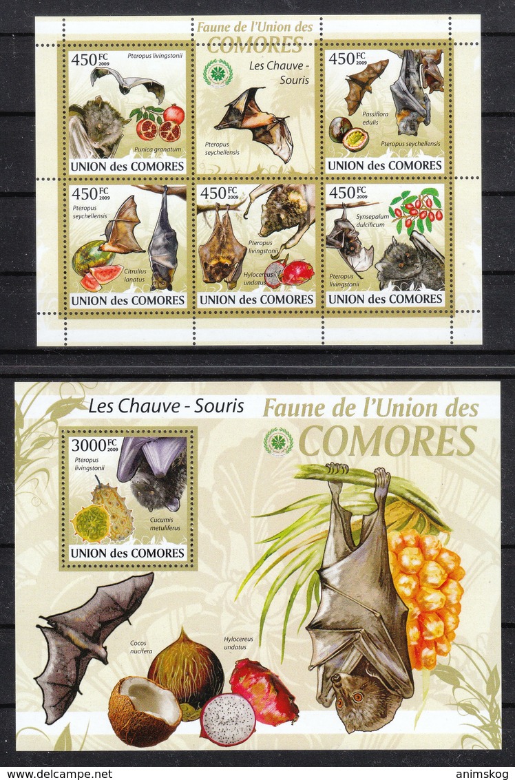 Komoren 2009**,  Fledermäuse Und Früchte, Kaktus / Komoren 2009, MNH, Bat And Fruits , Cactus - Sukkulenten