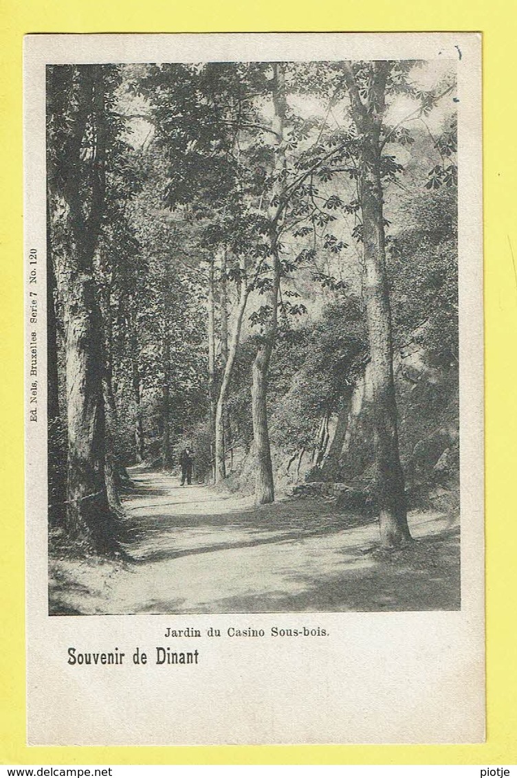 * Dinant (Namur - Namen - La Wallonie) * (Ed Nels, Série 7, Nr 120) Souvenir De Dinant, Jardin Du Casino Sous Bois - Dinant