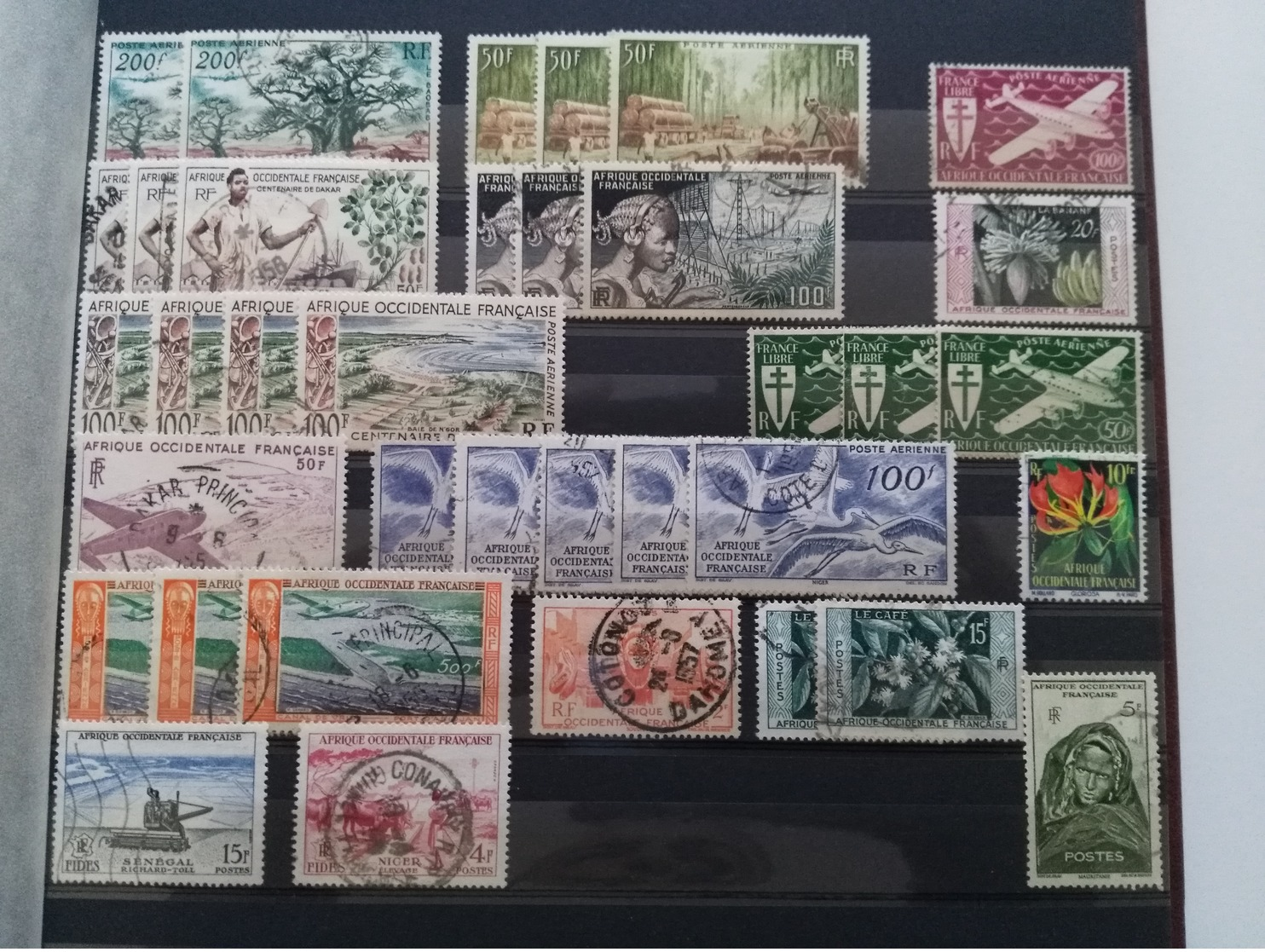 Album timbres oblitérés France et colonies (dont Terre Australes et Antarctiques Françaises Neuf)