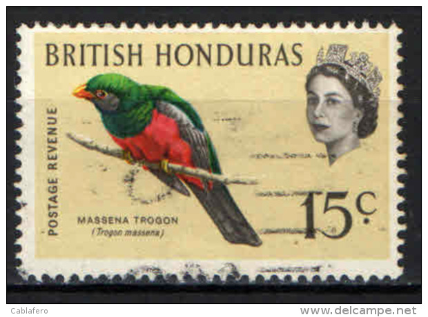 HONDURAS BRITANNICO - 1962 - UCCELLO: TROGON MASSENA - USATO - British Honduras (...-1970)