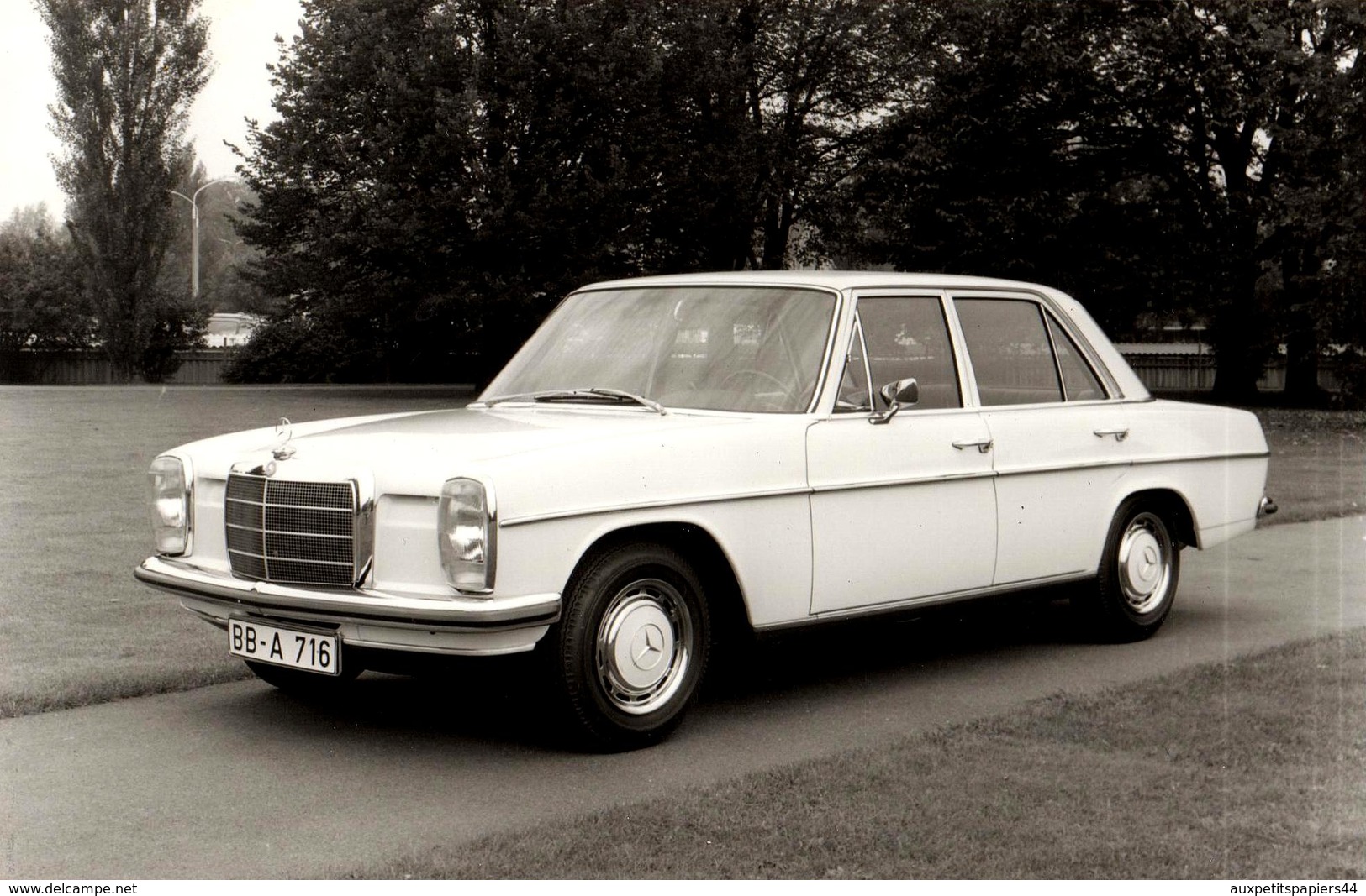 Grande Photo Originale Mercedes-Benz 220 D (W115) 1967–73 Blanche - Cars