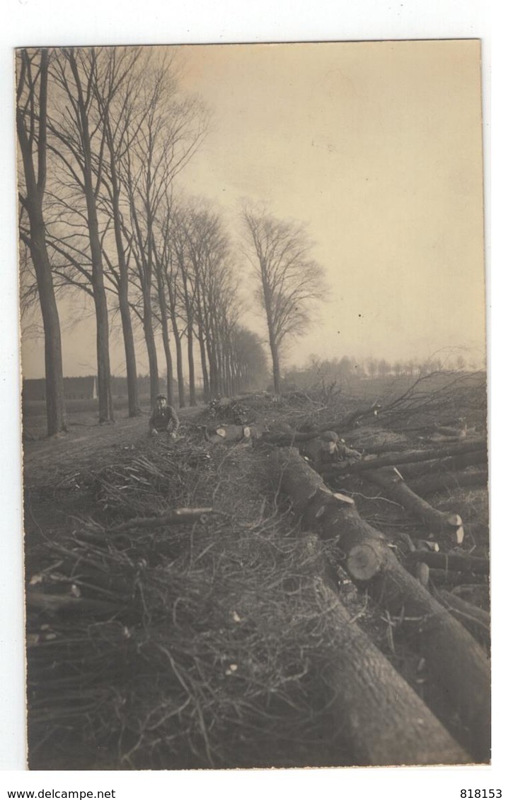 Essen  De Peerdsdreef Te Esschen In Zuidelijke Richting Naar...1924 Fotokaart 14x9cm - Essen