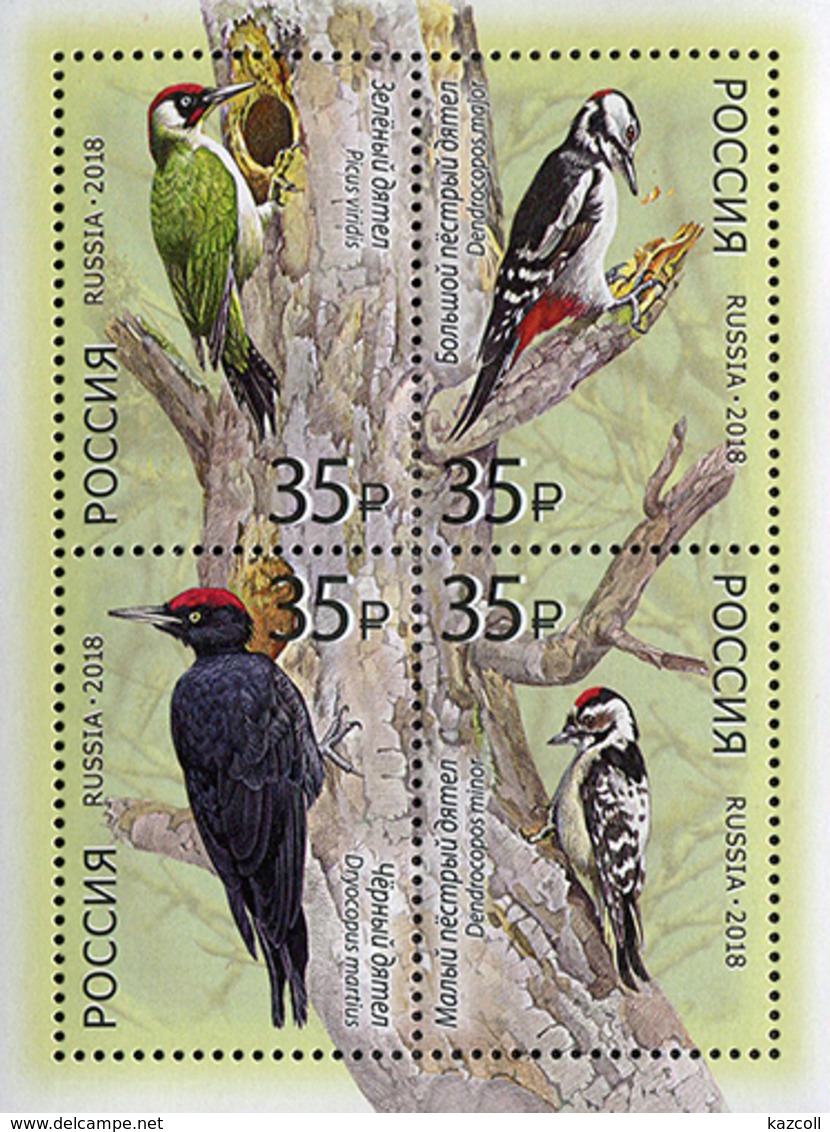 Russia 2018. Fauna Of Russia. Woodpeckers. Birds - Nuovi