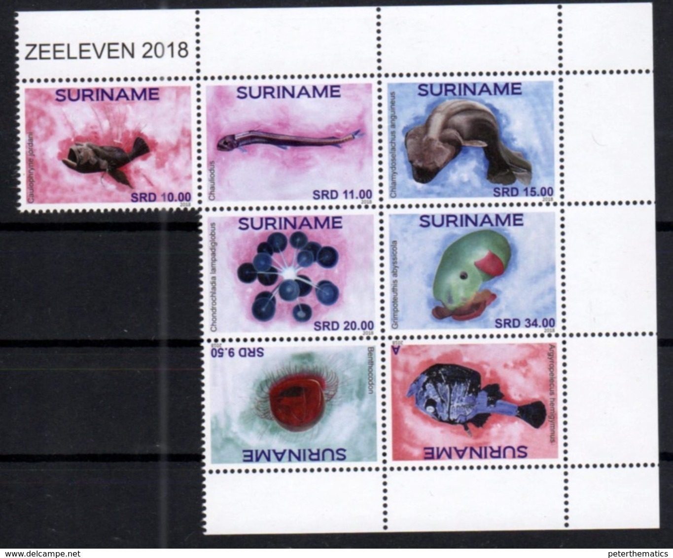 SURINAME, 2018, MNH, FISH,  SEA LIFE OF THE MARIANNA TRENCH, SET OF 7v - Fishes