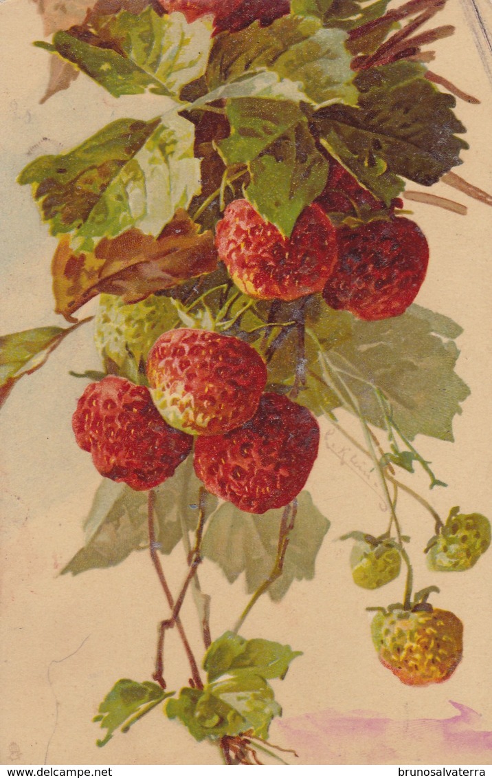 FRAISES DES BOIS - Otros & Sin Clasificación