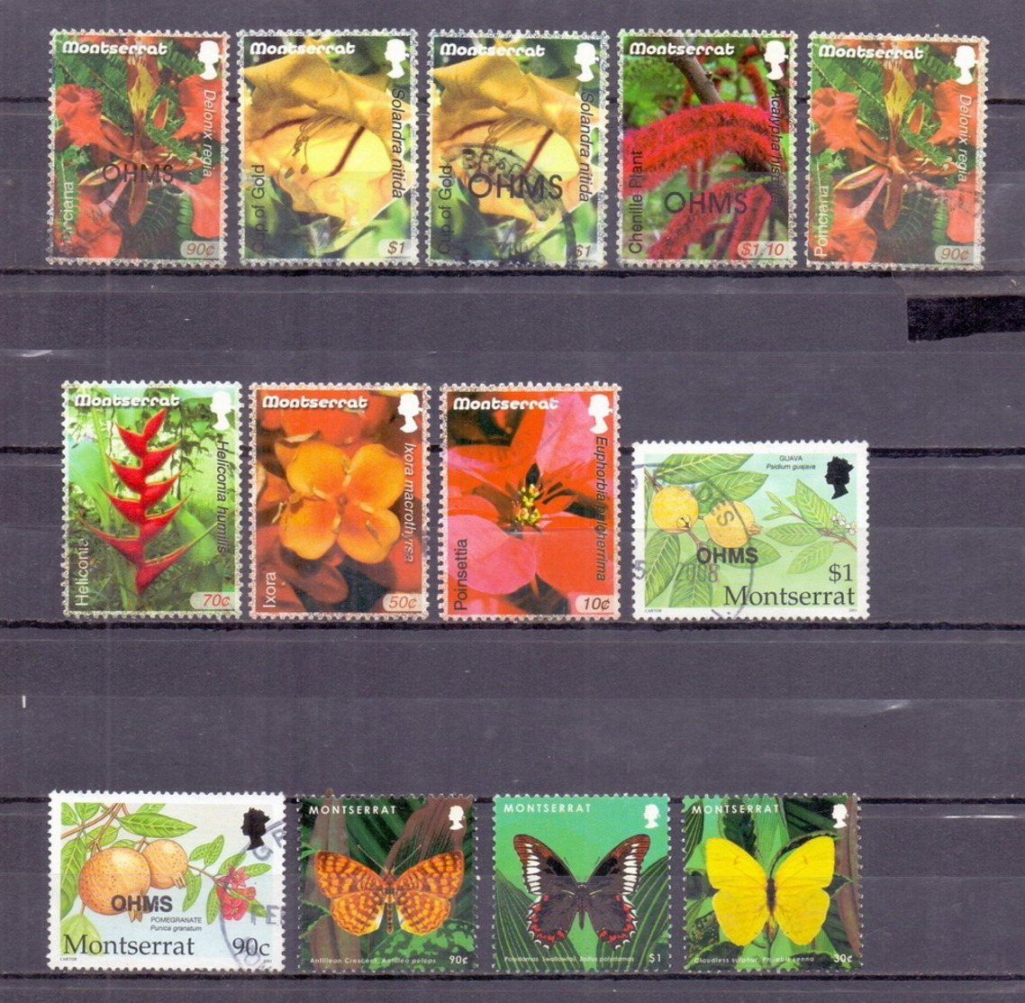 (Super Saving Deal) Montserrat Flower, Fruit, Butterflies Small Used Lot (U-004) - Montserrat