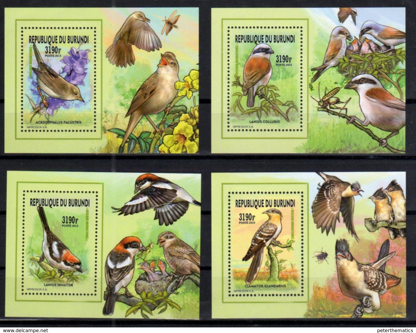 BURUNDI, 2015, MNH, BIRDS, MIGRATORY BIRDS, INSECTS , 4 DELUXE S/SHEETS, OFFICIAL ISSUE - Other & Unclassified