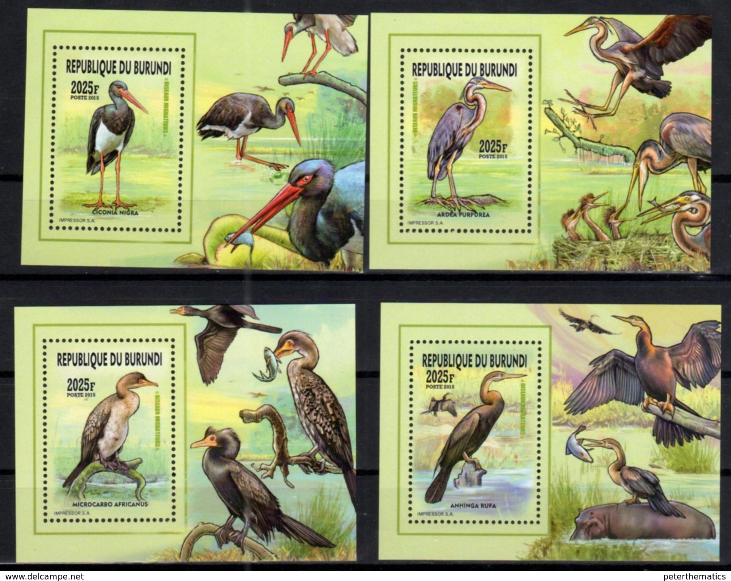 BURUNDI, 2015, MNH, BIRDS, MIGRATORY BIRDS, STORKS, CORMORANTS, FISH, 4 DELUXE S/SHEETS, OFFICIAL ISSUE - Storks & Long-legged Wading Birds