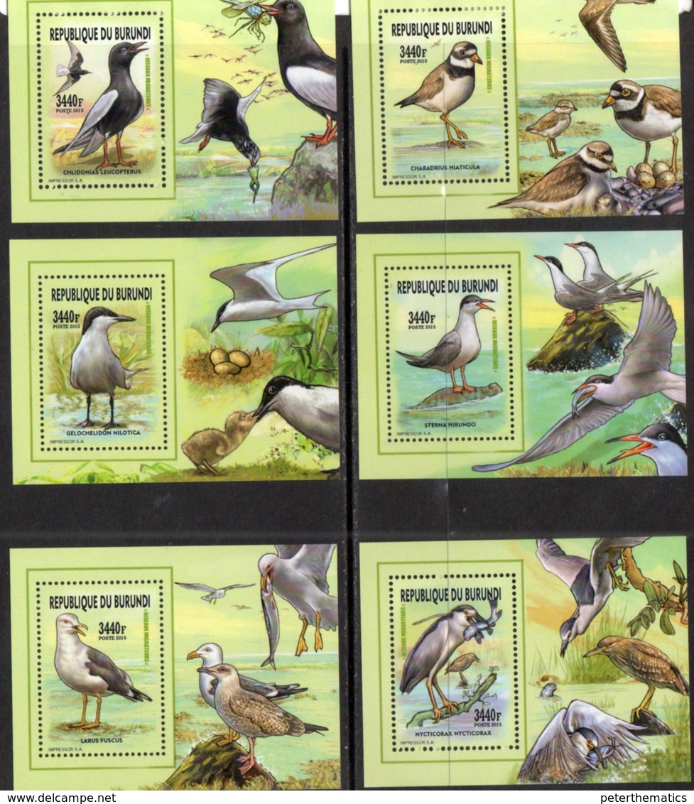 BURUNDI, 2015, MNH, BIRDS, MIGRATORY BIRDS, SEAGULLS, FISH, 6 DELUXE S/SHEETS, OFFICIAL ISSUE - Seagulls