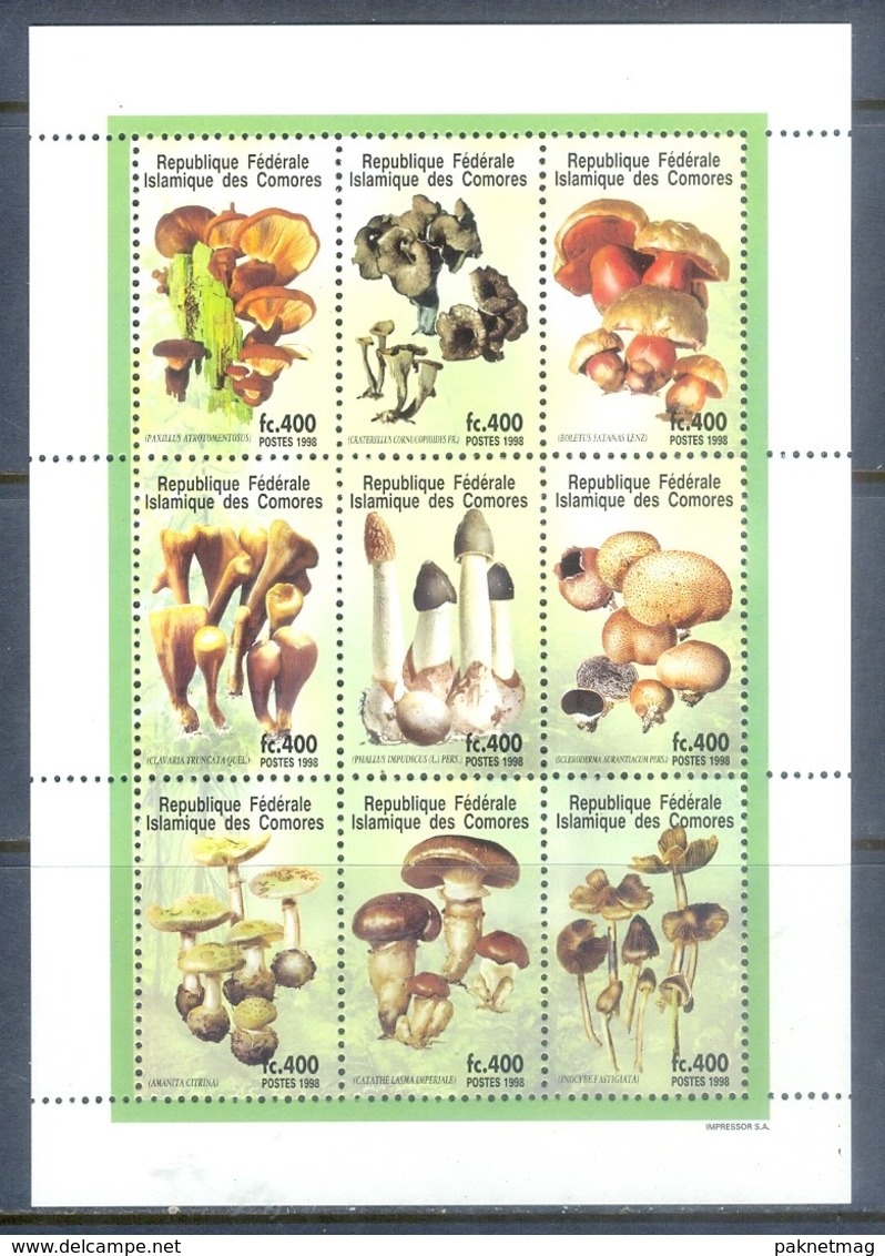 H68- Comores 1998 Mushrooms S/Sheet - Mushrooms