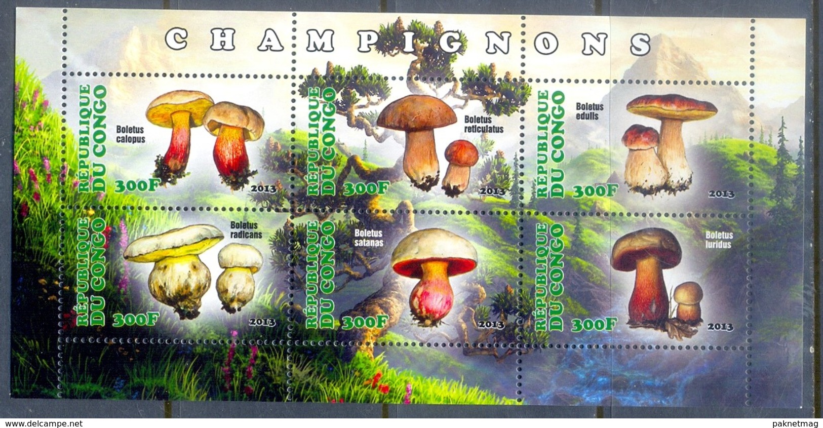 H78- Congo  2013 Mushrooms S/Sheet. - Mushrooms