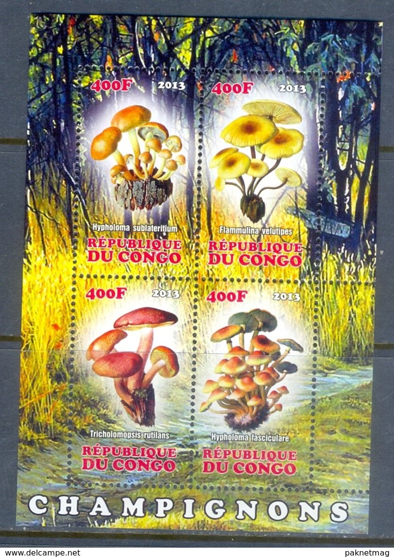 H79- Congo 2013 Mushrooms S/Sheet. - Mushrooms