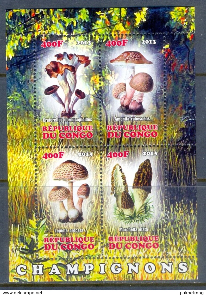 H80- Congo 2013 Mushrooms S/Sheet. - Mushrooms